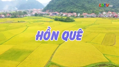Hồn quê