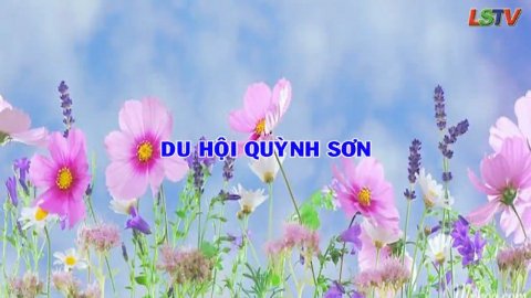 Du hội Quỳnh Sơn