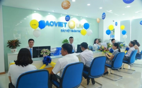 Đề nghị thoái vốn tại Bảo Việt và một số doanh nghiệp khác