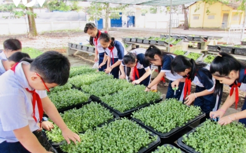 Không thể mãi dạy học theo lối mòn