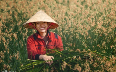 Nét đẹp phụ nữ Việt dọc miền đất nước