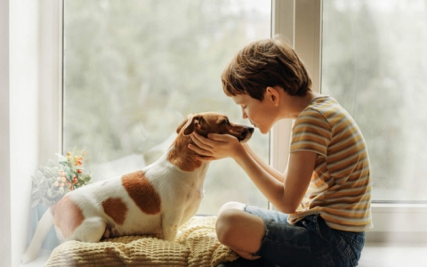 Những việc nhà phù hợp cho trẻ mẫu giáo