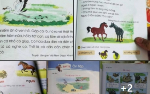 "SGK Tiếng Việt lớp 1 không phải sạn mà là sai cơ bản, cần thu hồi"
