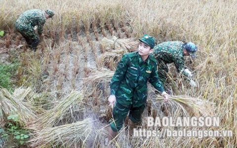Dân vận khéo ở Đồn Biên phòng Bình Nghi