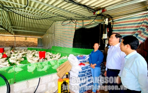 Lãnh đạo UBND tỉnh kiểm tra tình hình thực hiện các chương trình mục tiêu quốc gia tại huyện Cao Lộc