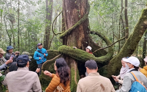 Tĩnh lặng cùng hoang dã