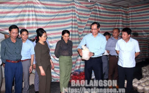 Văn Quan cần tập trung triển khai thực hiện tốt các chương trình mục tiêu quốc gia