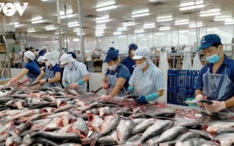 Vùng ĐBSCL nắm giữ rất nhiều sản phẩm ưa chuộng của thị trường thế giới