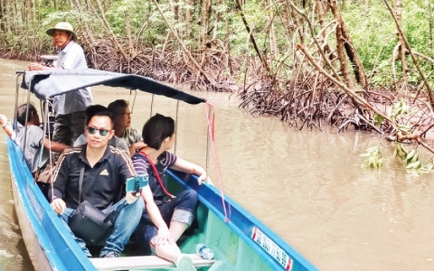 Du lịch sinh thái rừng ngập mặn nơi Đất Mũi