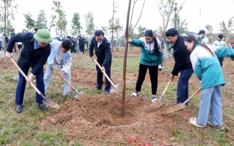 Phú Thọ phấn đấu trồng mới 9.000ha rừng tập trung