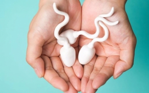 Rượu có "giết chết" tinh trùng không?