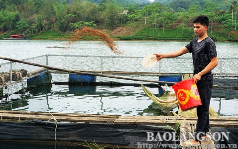 Bắc La: Nhân rộng các mô hình sản xuất hiệu quả