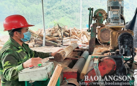 Đình Lập: Đảm bảo an toàn cho người lao động tại các xưởng chế biến lâm sản