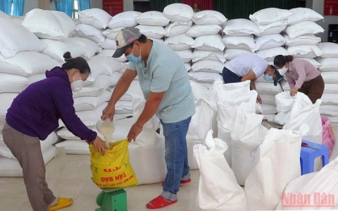 Cấp gần 1.400 tấn gạo cho Tuyên Quang và Quảng Trị trong thời gian giáp hạt