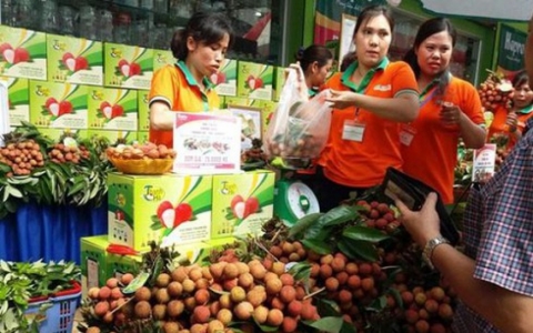 Đặc sản của 15 tỉnh, thành ra mắt người tiêu dùng Hà Nội