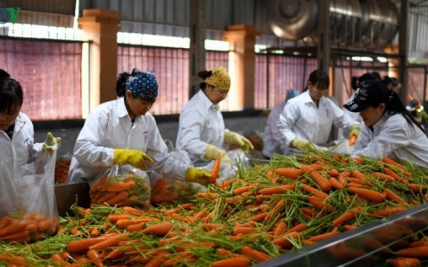 Nông sản, thực phẩm Việt có cơ hội giao thương với Sơn Đông (Trung Quốc)