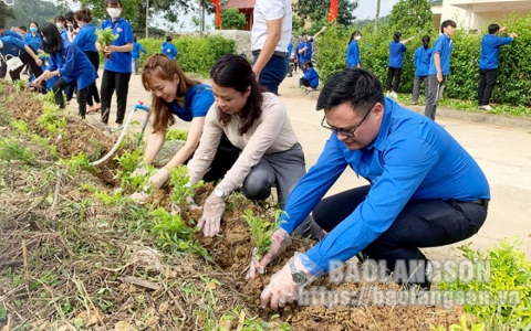Theo bước thanh niên tình nguyện