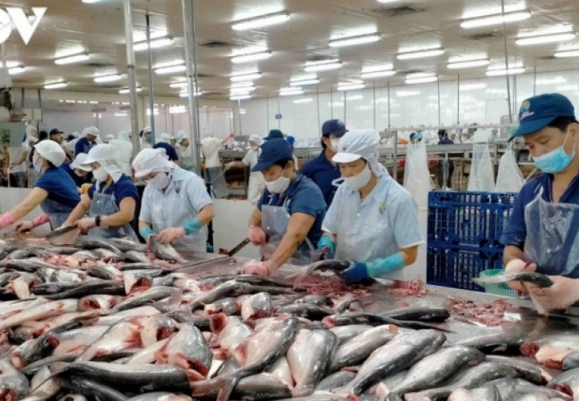 Vùng ĐBSCL nắm giữ rất nhiều sản phẩm ưa chuộng của thị trường thế giới