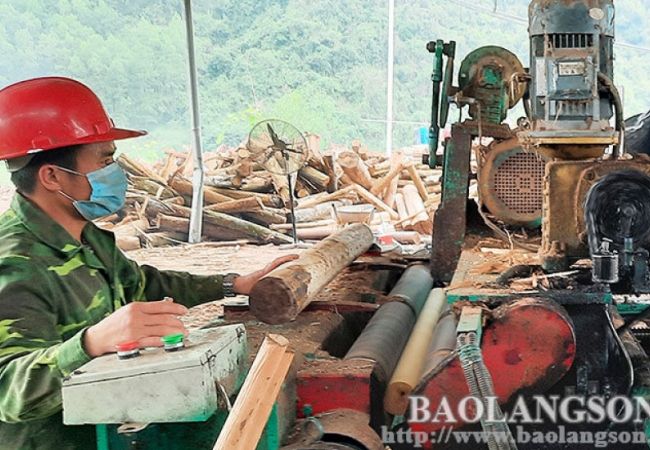 Đình Lập: Đảm bảo an toàn cho người lao động tại các xưởng chế biến lâm sản
