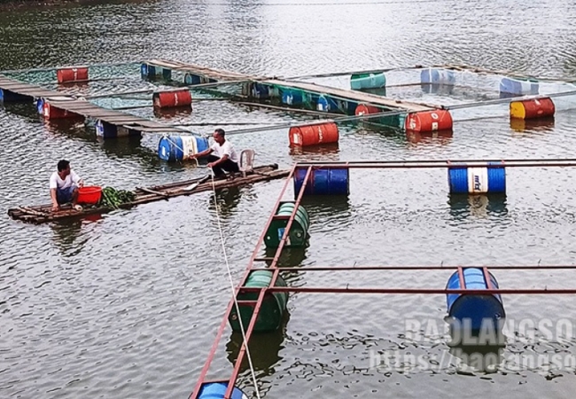 Phát triển kinh tế tập thể: Gỡ khó về vốn cho hợp tác xã