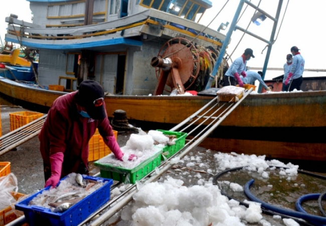 Ngư dân Bình Thuận quay lại biển sau giãn cách