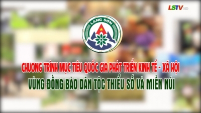 Chương tr&igrave;nh mục ti&ecirc;u quốc gia ph&aacute;t triển KTXH v&ugrave;ng đồng b&agrave;o DTTS v&agrave; miền n&uacute;i (Dự &aacute;n 10)