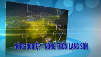 CM Nông nghiệp - Nông thôn Lạng Sơn ngày 26/04/2025	