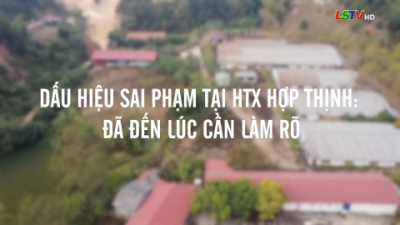 Dấu hiệu sai phạm tại HTX Hợp Thịnh: Đ&atilde; đến l&uacute;c cần l&agrave;m r&otilde; - Kỳ III: Cần l&agrave;m r&otilde; tr&aacute;ch nhiệm