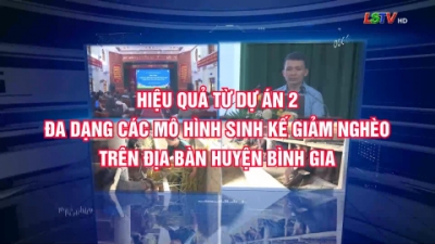 Hiệu quả từ dự án 2: Đa dạng các mô hình sinh kế giảm nghèo trên địa bàn huyện Bình Gia