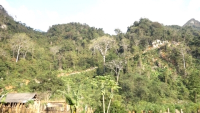 L&acirc;n N&oacute;ng thức giấc