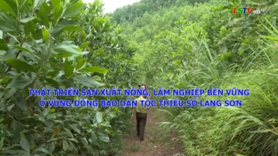 Ph&aacute;t triển sản xuất n&ocirc;ng, l&acirc;m nghiệp bền vững ở v&ugrave;ng đồng b&agrave;o d&acirc;n tộc thiểu số Lạng Sơn