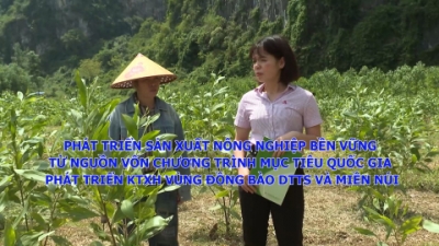 Ph&aacute;t triển sản xuất n&ocirc;ng nghiệp bền vững từ nguồn vốn chương tr&igrave;nh mục ti&ecirc;u quốc gia ph&aacute;t triển KTXH v&ugrave;ng đồng b&agrave;o DTTS v&agrave; miền n&uacute;i (Dự &aacute;n 3)