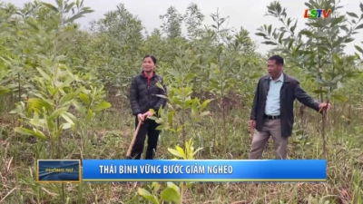 Th&aacute;i B&igrave;nh vững bước giảm ngh&egrave;o