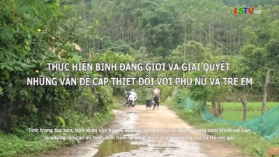 Thực hiện b&igrave;nh đẳng giới v&agrave; giải quyết những vấn đề cấp thiếu đối với phụ nữ v&agrave; trẻ em (Dự &aacute;n 8)