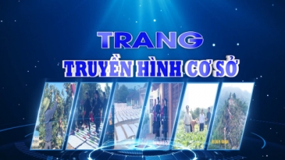 Trang truyền hình cơ sở - Số 98/2023