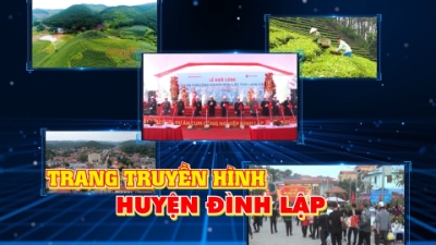 Trang truyền hình Đình Lập - Số 06/2025