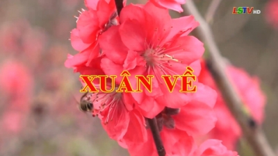 Xuân về