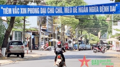 Gia Lai: 2 ca tử vong do bệnh dại từ đầu năm 2024 đến nay