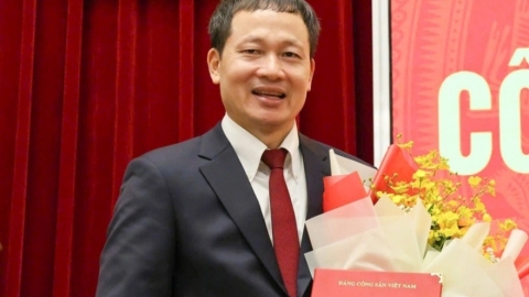 Phê chuẩn nhân sự Trưởng đoàn đại biểu Quốc hội nhiều tỉnh thành