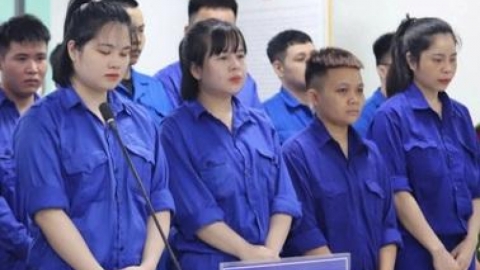 117 bị c&aacute;o trong đường d&acirc;y tội phạm xuy&ecirc;n quốc gia lĩnh &aacute;n
