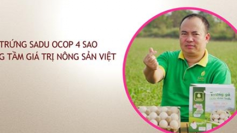 Từ &ldquo;g&atilde; dở hơi&rdquo; đến trứng Sadu OCOP 4 sao n&acirc;ng tầm gi&aacute; trị n&ocirc;ng sản Việt