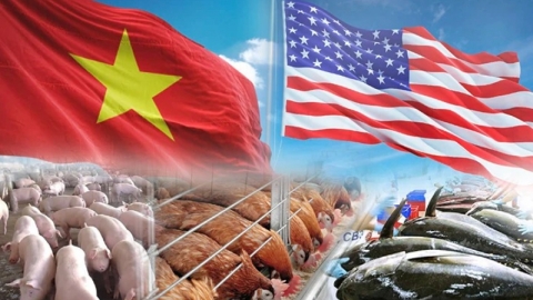 Cơ hội cho ngành chăn nuôi Việt Nam sau chuyến thăm của Tổng thống Mỹ