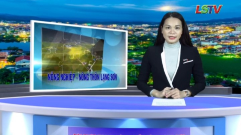 CM Nông nghiệp - Nông thôn Lạng Sơn ngày 15/2/2020