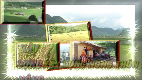 CM Xây dựng nông thôn mới ngày 16/2/2020