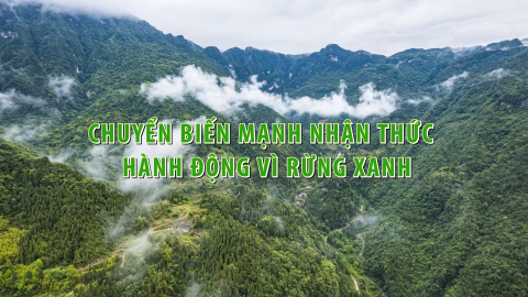 Chuyển biến mạnh nhận thức hành động vì rừng xanh