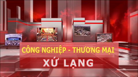 CM C&ocirc;ng nghiệp thương mại Xứ Lạng - Số 11/2025