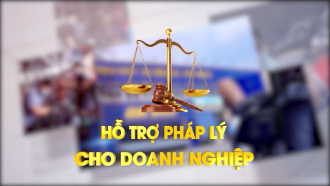 CM Hỗ trợ ph&aacute;p l&yacute; cho doanh nghiệp ng&agrave;y 13/8/2026