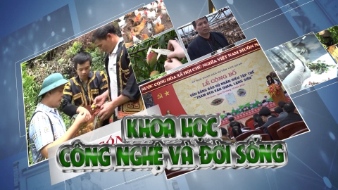 CM Khoa học công nghệ và Đời sống ngày 12/02/2022