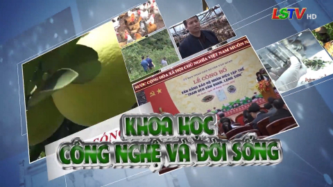 CM Khoa học công nghệ và Đời sống ngày 25/09/2021