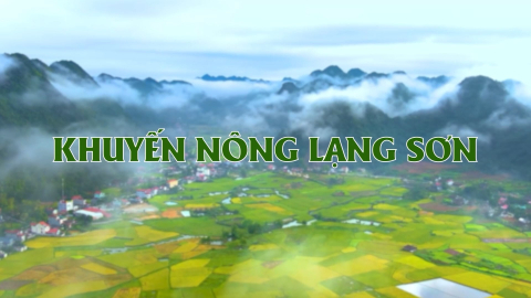 CM Khuyến n&ocirc;ng Lạng Sơn ng&agrave;y 7/8/2026